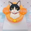 台北寵物生日蛋糕推薦，超可愛化賓士貓客製化造型蛋糕