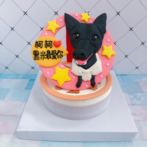 台北客製化寵物蛋糕推薦，超可愛台灣狗狗造型蛋糕