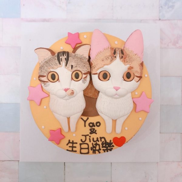 台北寵物生日蛋糕推薦，超可愛橘貓客製化造型蛋糕