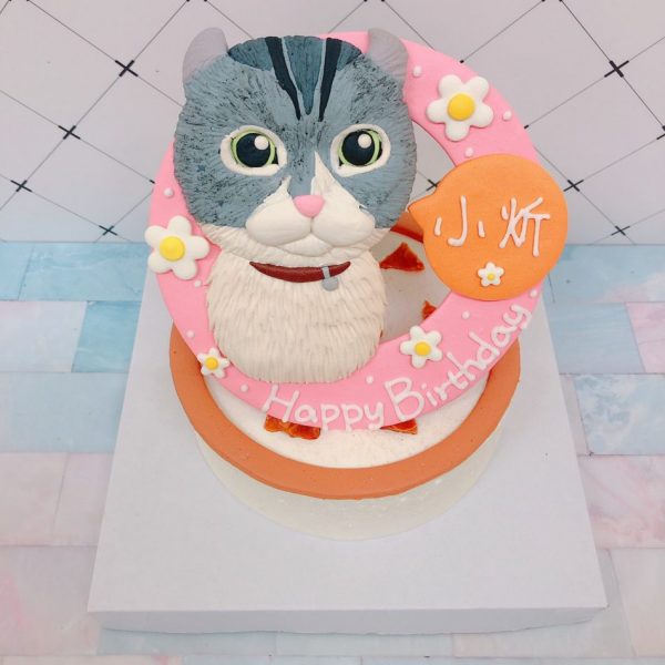 超可愛虎斑貓造型蛋糕，客製化寵物蛋糕宅配推薦