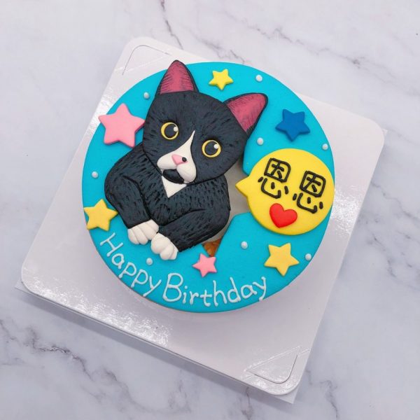 貓咪生日蛋糕推薦，台北寵物造型蛋糕宅配訂購