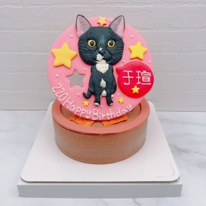 貓咪造型蛋糕推薦，寵物客製化蛋糕宅配