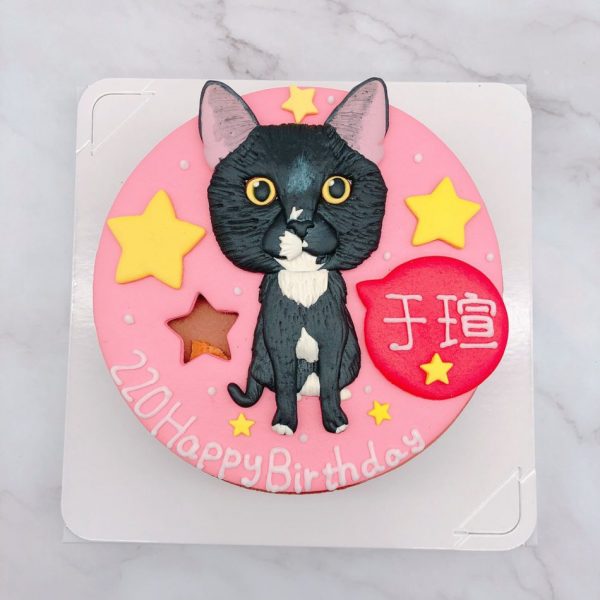 貓咪造型蛋糕推薦，寵物客製化蛋糕宅配