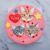 寵物造型蛋糕推薦，三隻貓咪生日蛋糕宅配分享