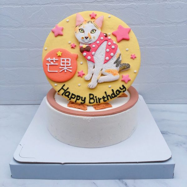 貓咪客製化造型蛋糕推薦，寵物生日蛋糕宅配分享