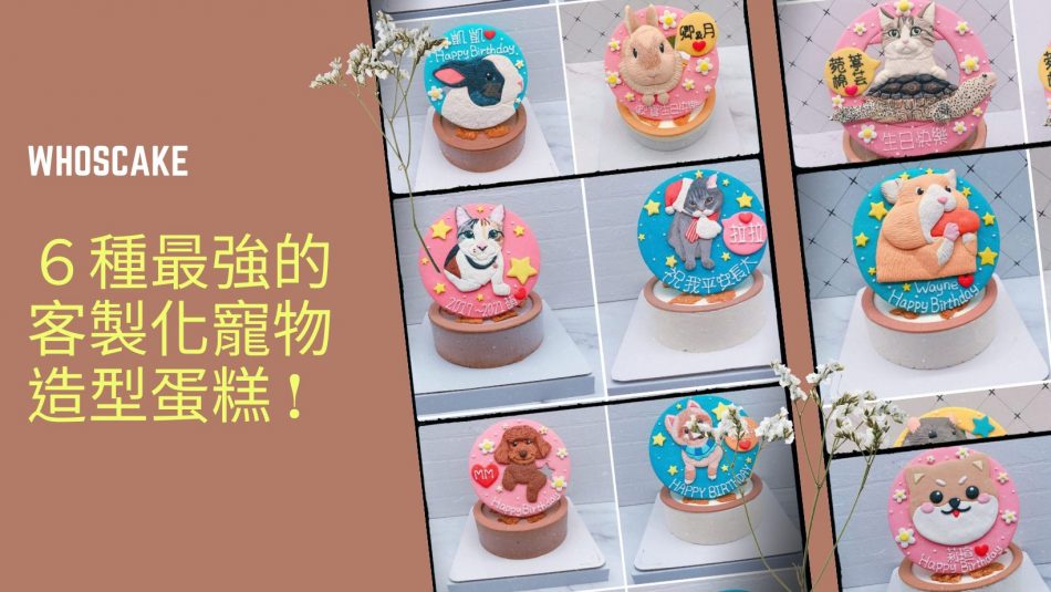 2022年寵物生日蛋糕推薦專賣店，6種最特別的客製化動物造型蛋糕懶人包