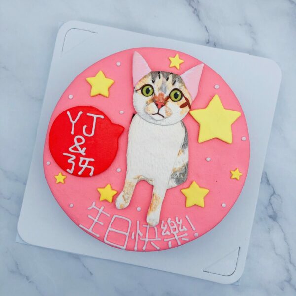 台北貓咪造型蛋糕推薦，寵物客製化生日蛋糕宅配分享