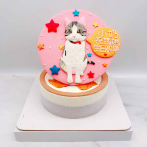 寵物造型蛋糕推薦，貓咪客製化生日蛋糕宅配
