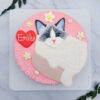 貓咪造型蛋糕推薦，寵物客製化生日蛋糕作品分享