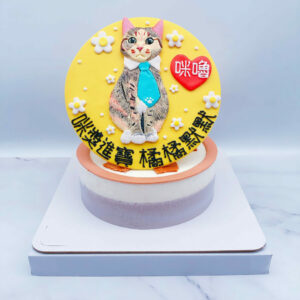 寵物客製化造型蛋糕推薦，貓咪生日蛋糕作品分享
